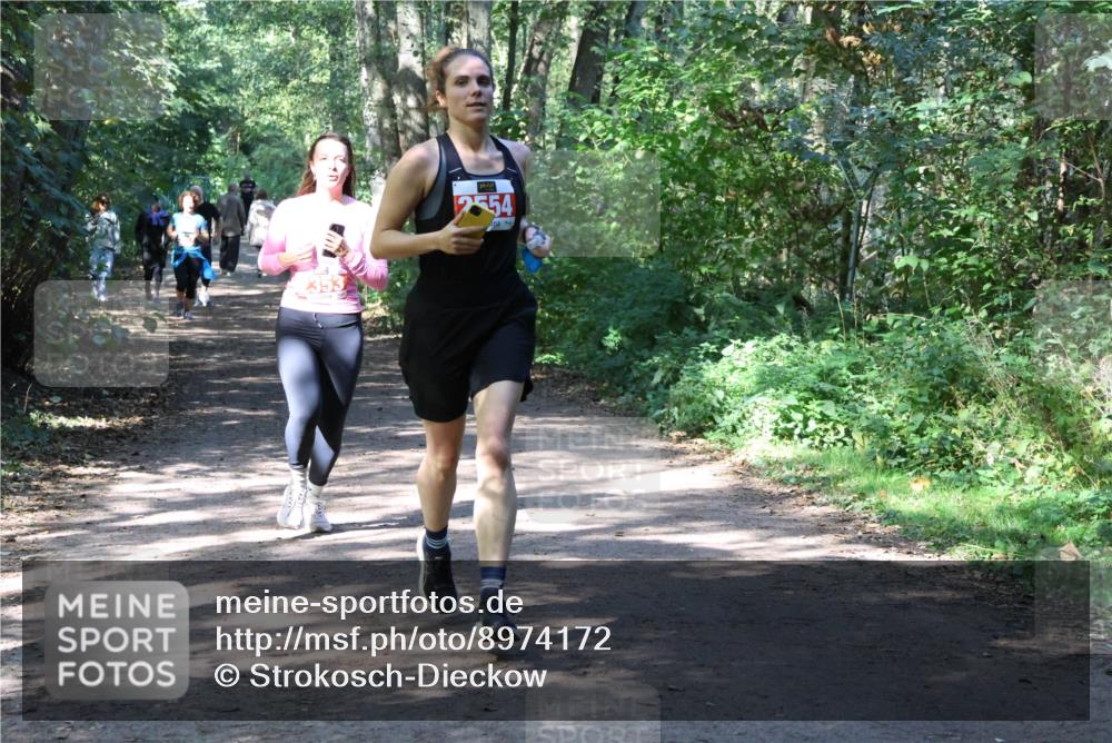 28.09.2025 - 33. Volkslauf durch das schöne Alstertal Strokosch-Dieckow http://msf.ph/oto/8974172 28.09.2025 12:36:46 Laufen 2554 meine-sportfotos.de