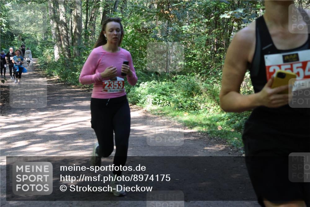 28.09.2025 - 33. Volkslauf durch das schöne Alstertal Strokosch-Dieckow http://msf.ph/oto/8974175 28.09.2025 12:36:48 Laufen 2353, 2554 meine-sportfotos.de
