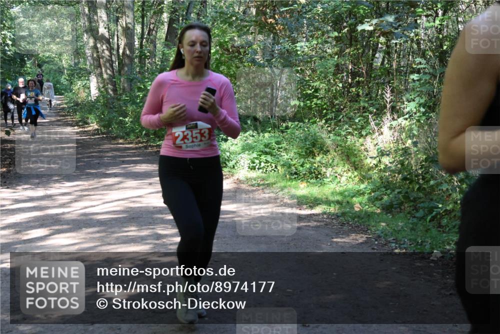 28.09.2025 - 33. Volkslauf durch das schöne Alstertal Strokosch-Dieckow http://msf.ph/oto/8974177 28.09.2025 12:36:48 Laufen 2353 meine-sportfotos.de