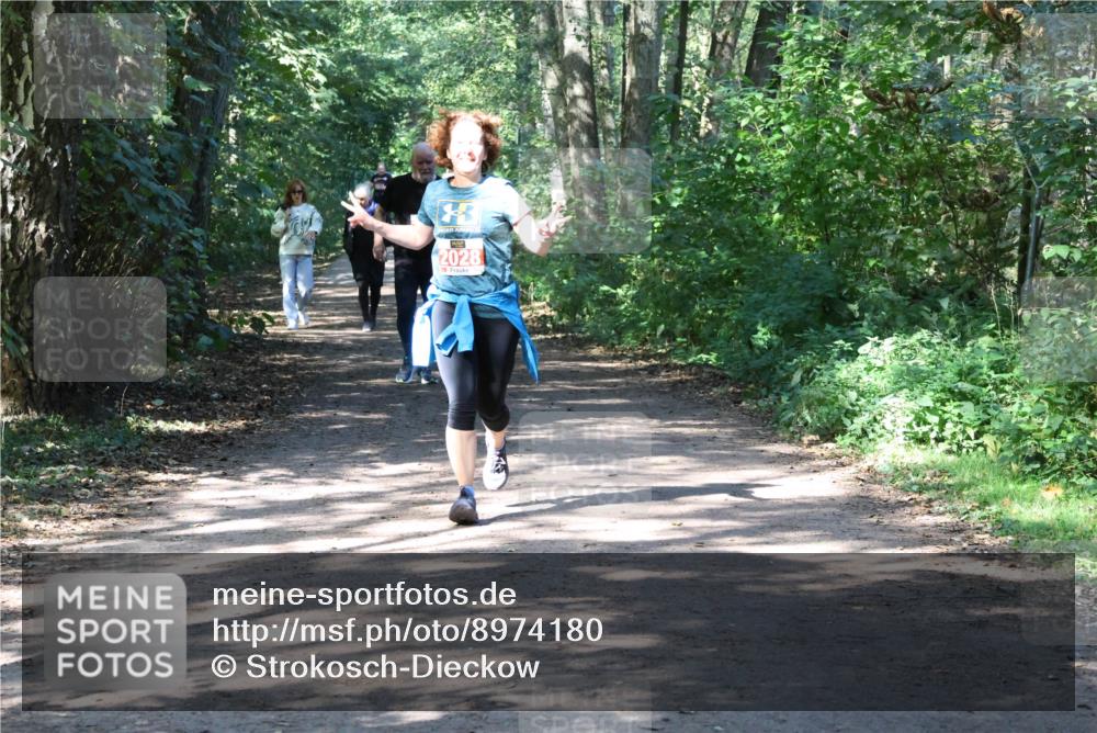 28.09.2025 - 33. Volkslauf durch das schöne Alstertal Strokosch-Dieckow http://msf.ph/oto/8974180 28.09.2025 12:36:55 Laufen 2028 meine-sportfotos.de