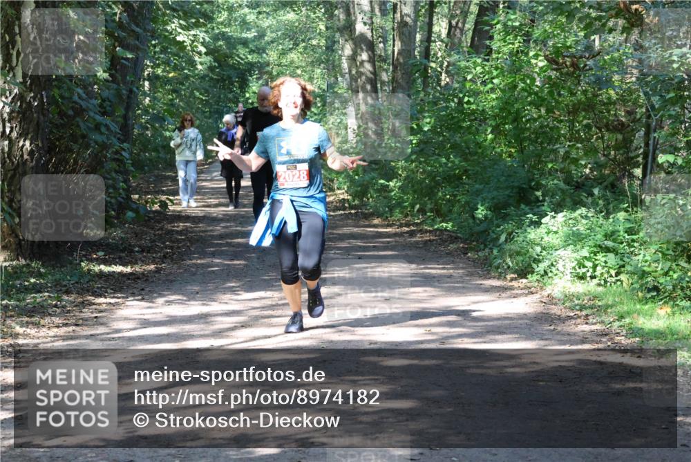 28.09.2025 - 33. Volkslauf durch das schöne Alstertal Strokosch-Dieckow http://msf.ph/oto/8974182 28.09.2025 12:36:55 Laufen 2028 meine-sportfotos.de