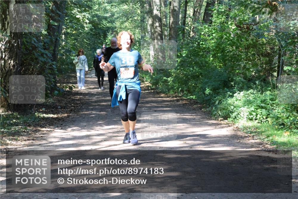 28.09.2025 - 33. Volkslauf durch das schöne Alstertal Strokosch-Dieckow http://msf.ph/oto/8974183 28.09.2025 12:36:55 Laufen 2028 meine-sportfotos.de
