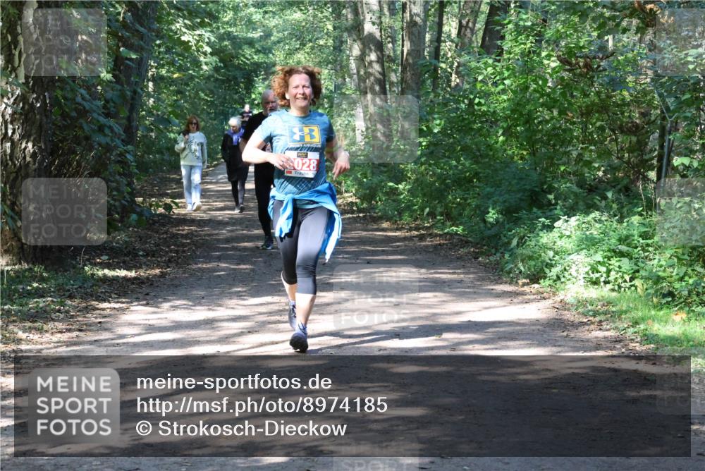28.09.2025 - 33. Volkslauf durch das schöne Alstertal Strokosch-Dieckow http://msf.ph/oto/8974185 28.09.2025 12:36:55 Laufen 028 meine-sportfotos.de