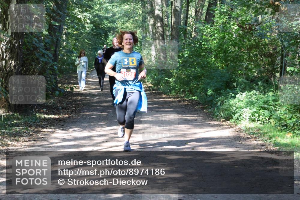 28.09.2025 - 33. Volkslauf durch das schöne Alstertal Strokosch-Dieckow http://msf.ph/oto/8974186 28.09.2025 12:36:55 Laufen 2028 meine-sportfotos.de