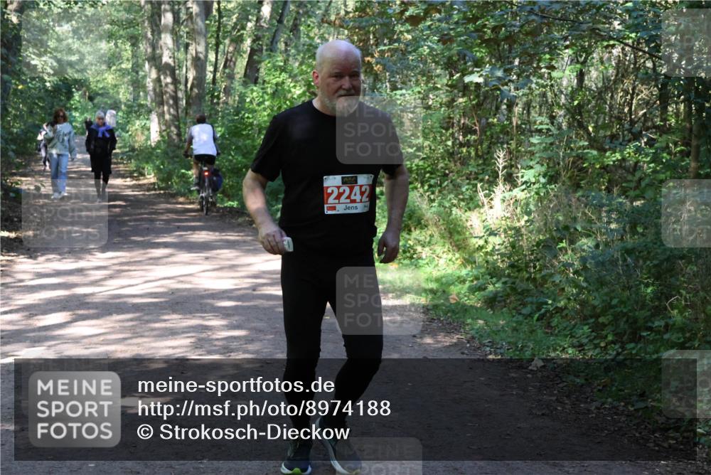 28.09.2025 - 33. Volkslauf durch das schöne Alstertal Strokosch-Dieckow http://msf.ph/oto/8974188 28.09.2025 12:37:02 Laufen 2242 meine-sportfotos.de