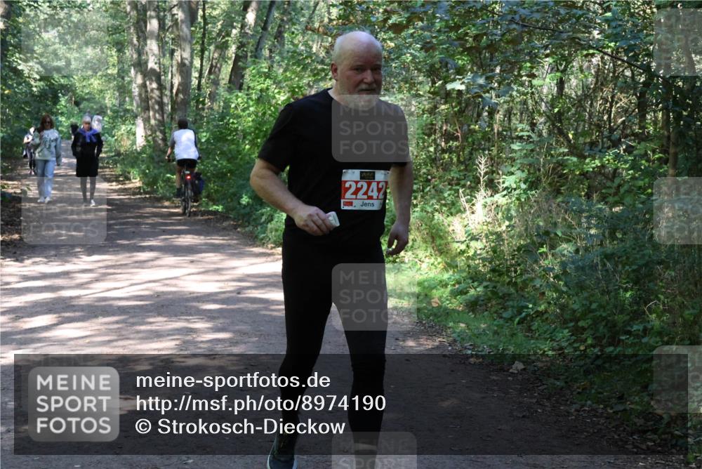 28.09.2025 - 33. Volkslauf durch das schöne Alstertal Strokosch-Dieckow http://msf.ph/oto/8974190 28.09.2025 12:37:02 Laufen 2242 meine-sportfotos.de