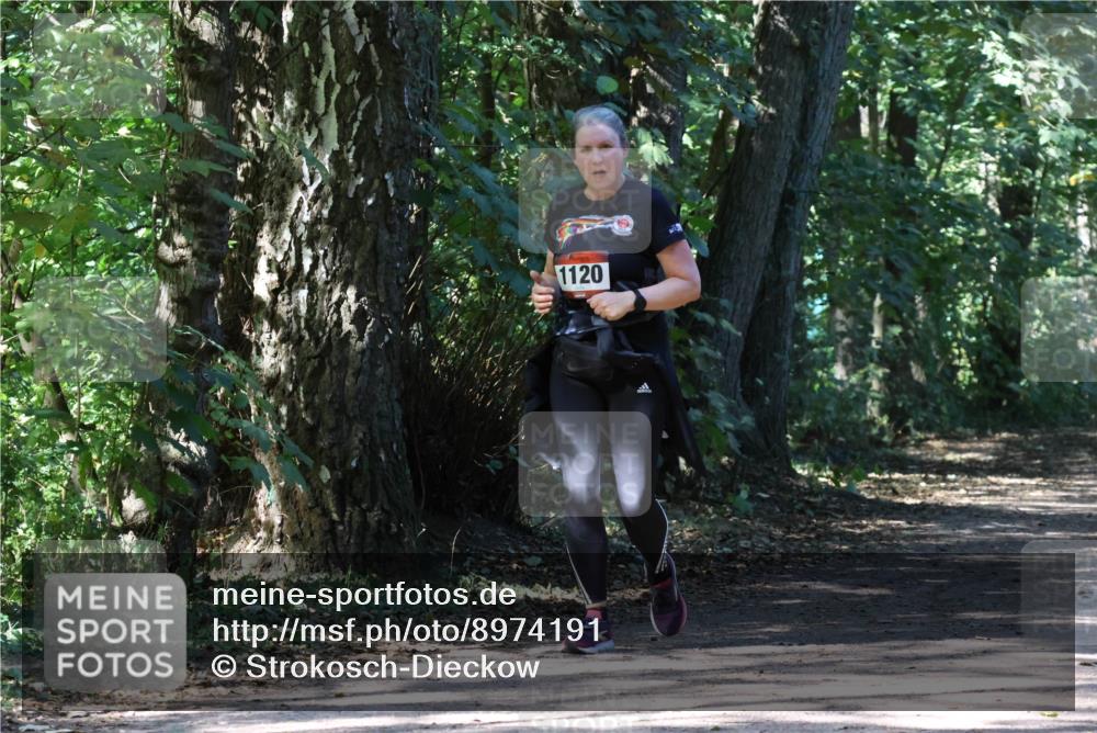 28.09.2025 - 33. Volkslauf durch das schöne Alstertal Strokosch-Dieckow http://msf.ph/oto/8974191 28.09.2025 12:37:19 Laufen 1120 meine-sportfotos.de
