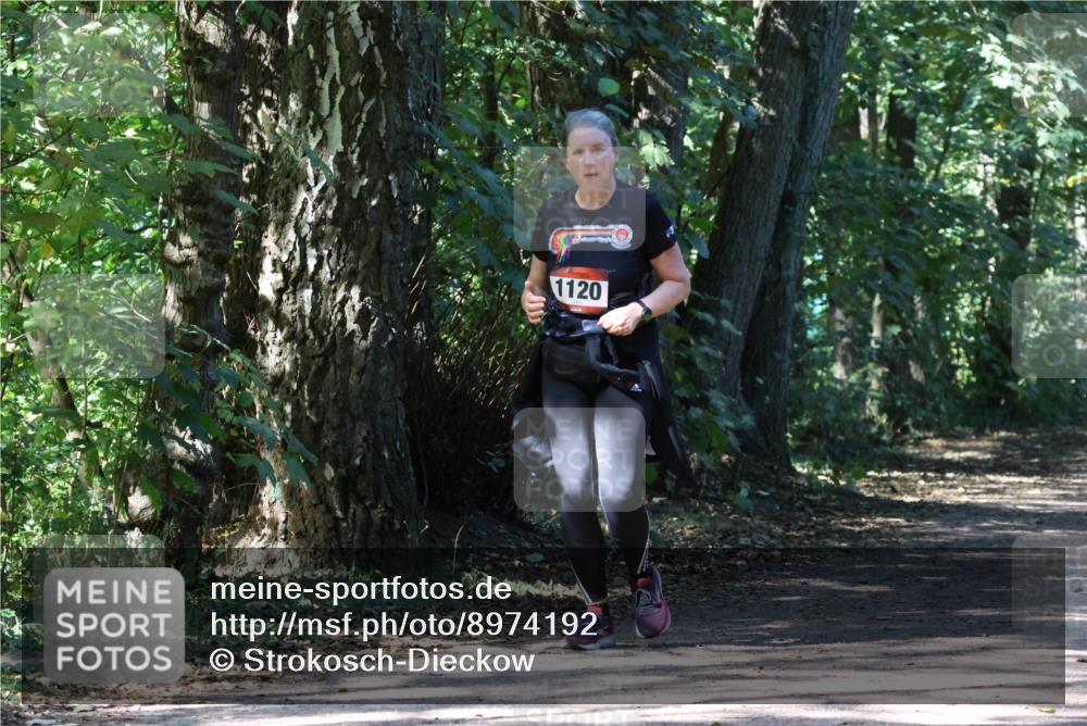 28.09.2025 - 33. Volkslauf durch das schöne Alstertal Strokosch-Dieckow http://msf.ph/oto/8974192 28.09.2025 12:37:20 Laufen 1120 meine-sportfotos.de