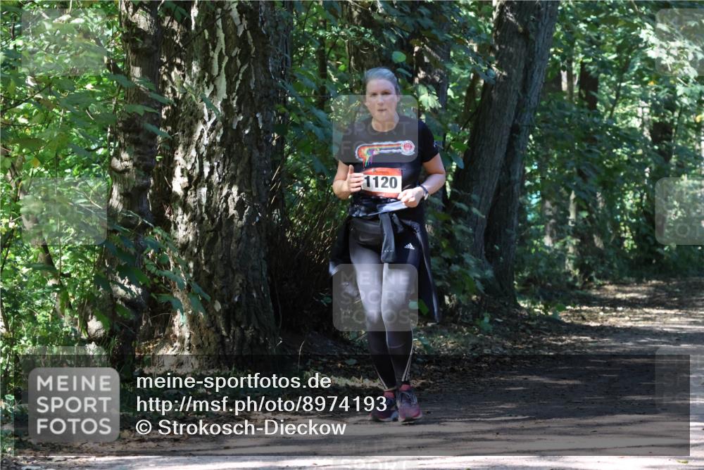 28.09.2025 - 33. Volkslauf durch das schöne Alstertal Strokosch-Dieckow http://msf.ph/oto/8974193 28.09.2025 12:37:20 Laufen 1120 meine-sportfotos.de