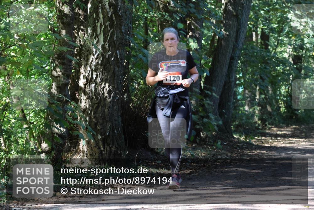 28.09.2025 - 33. Volkslauf durch das schöne Alstertal Strokosch-Dieckow http://msf.ph/oto/8974194 28.09.2025 12:37:20 Laufen 120 meine-sportfotos.de