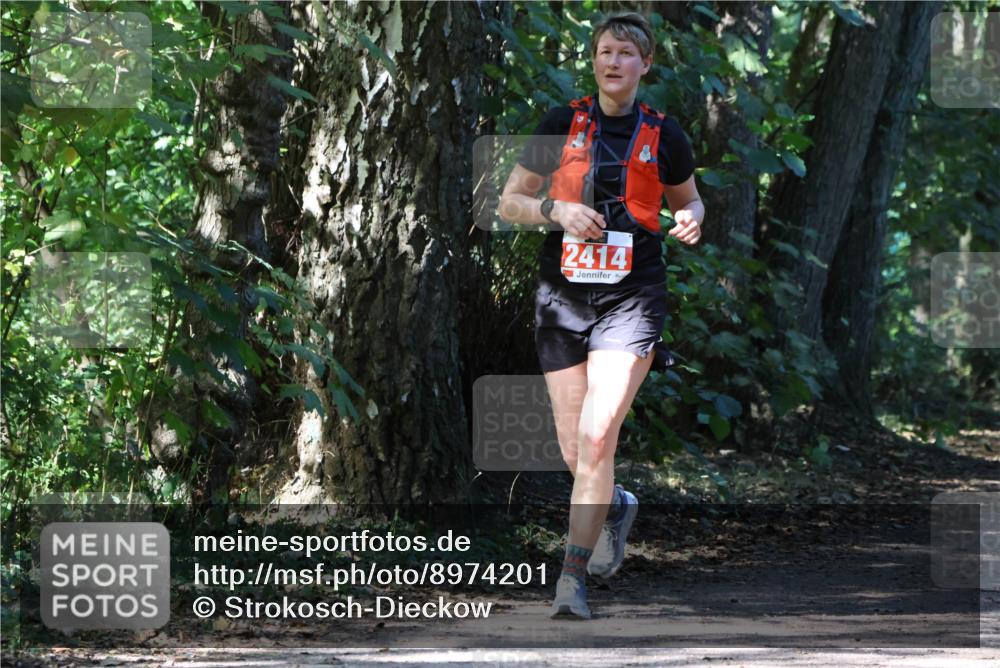 28.09.2025 - 33. Volkslauf durch das schöne Alstertal Strokosch-Dieckow http://msf.ph/oto/8974201 28.09.2025 12:37:49 Laufen 2414 meine-sportfotos.de
