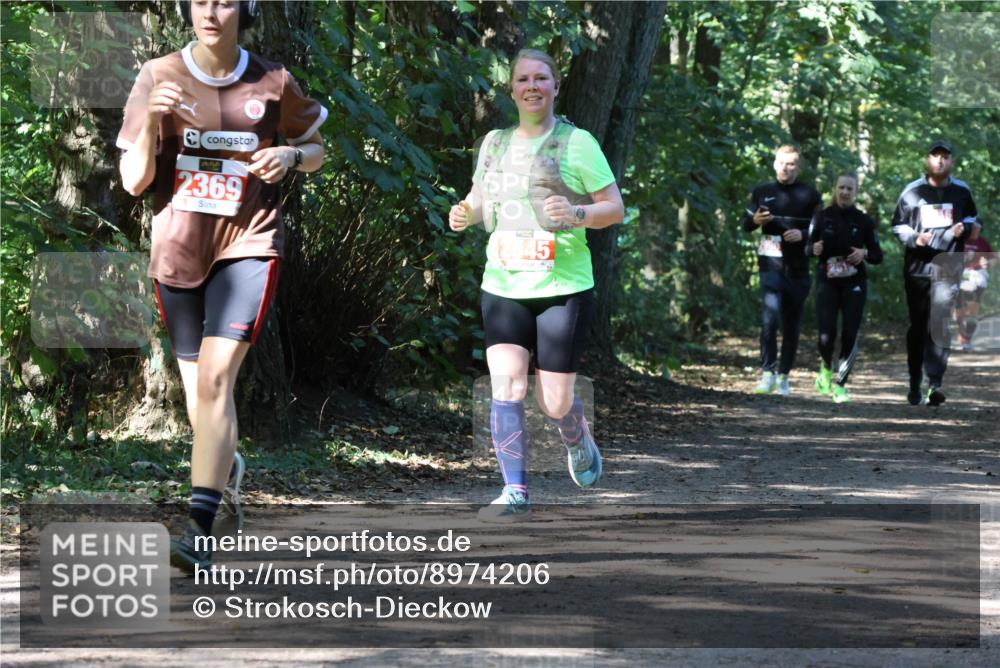 28.09.2025 - 33. Volkslauf durch das schöne Alstertal Strokosch-Dieckow http://msf.ph/oto/8974206 28.09.2025 12:38:06 Laufen 2369, 2545 meine-sportfotos.de