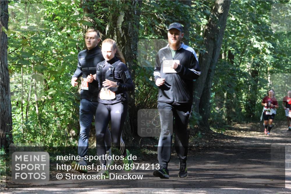 28.09.2025 - 33. Volkslauf durch das schöne Alstertal Strokosch-Dieckow http://msf.ph/oto/8974213 28.09.2025 12:38:14 Laufen  meine-sportfotos.de