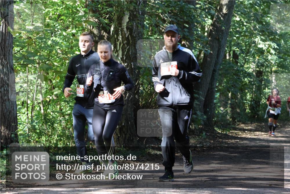 28.09.2025 - 33. Volkslauf durch das schöne Alstertal Strokosch-Dieckow http://msf.ph/oto/8974215 28.09.2025 12:38:14 Laufen 990 meine-sportfotos.de