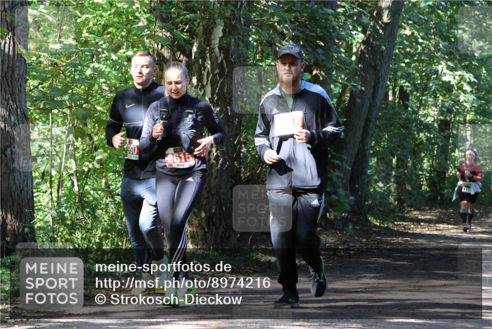 28.09.2025 - 33. Volkslauf durch das schöne Alstertal Strokosch-Dieckow http://msf.ph/oto/8974216 28.09.2025 12:38:14 Laufen 1990, 2615, 116 meine-sportfotos.de