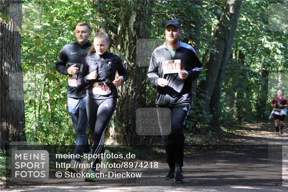 28.09.2025 - 33. Volkslauf durch das schöne Alstertal Strokosch-Dieckow http://msf.ph/oto/8974218 28.09.2025 12:38:15 Laufen  meine-sportfotos.de