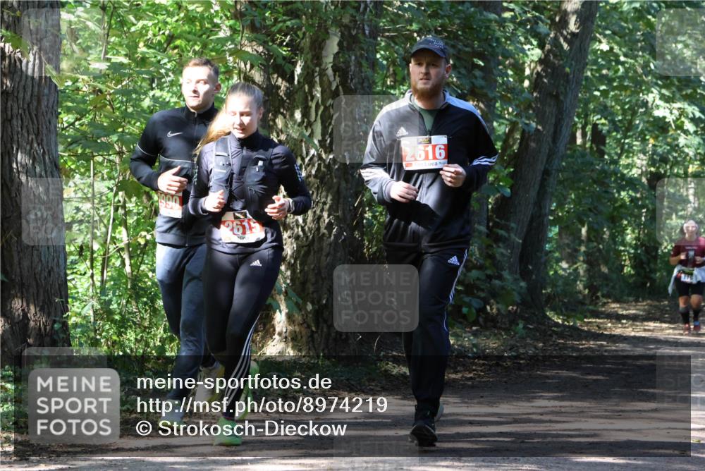 28.09.2025 - 33. Volkslauf durch das schöne Alstertal Strokosch-Dieckow http://msf.ph/oto/8974219 28.09.2025 12:38:15 Laufen 261, 2616 meine-sportfotos.de