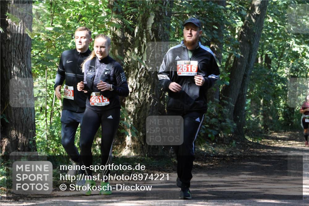 28.09.2025 - 33. Volkslauf durch das schöne Alstertal Strokosch-Dieckow http://msf.ph/oto/8974221 28.09.2025 12:38:15 Laufen 990, 2615, 2616 meine-sportfotos.de