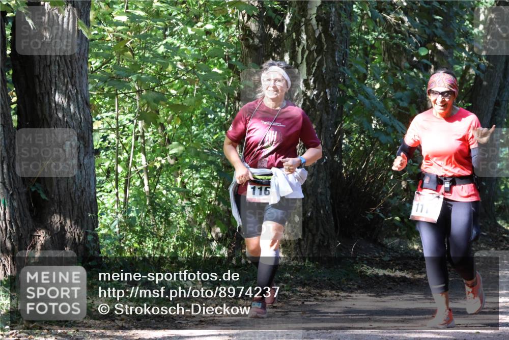 28.09.2025 - 33. Volkslauf durch das schöne Alstertal Strokosch-Dieckow http://msf.ph/oto/8974237 28.09.2025 12:38:25 Laufen 116, 11 meine-sportfotos.de