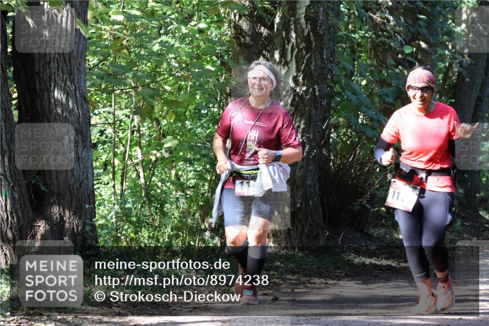 28.09.2025 - 33. Volkslauf durch das schöne Alstertal Strokosch-Dieckow http://msf.ph/oto/8974238 28.09.2025 12:38:25 Laufen 11 meine-sportfotos.de