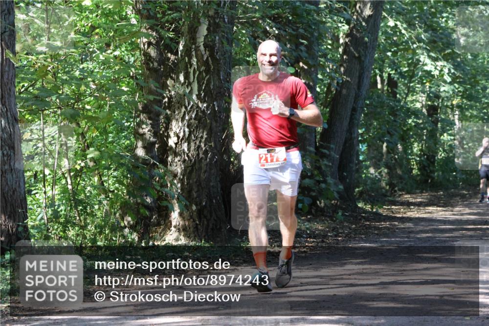 28.09.2025 - 33. Volkslauf durch das schöne Alstertal Strokosch-Dieckow http://msf.ph/oto/8974243 28.09.2025 12:38:32 Laufen 2175 meine-sportfotos.de
