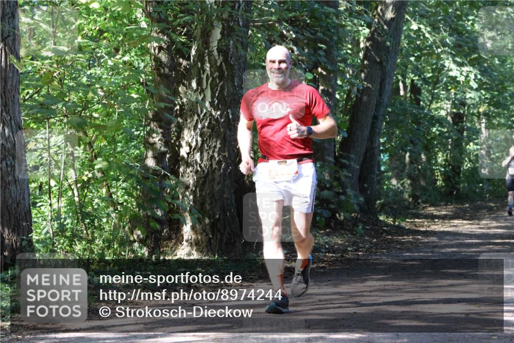 28.09.2025 - 33. Volkslauf durch das schöne Alstertal Strokosch-Dieckow http://msf.ph/oto/8974244 28.09.2025 12:38:32 Laufen  meine-sportfotos.de
