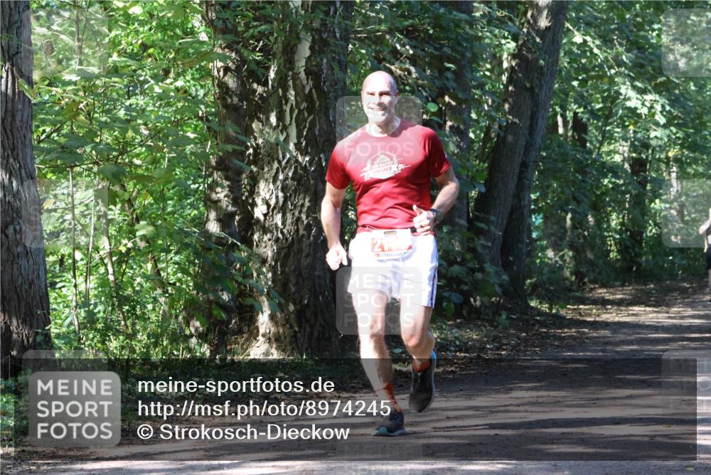 28.09.2025 - 33. Volkslauf durch das schöne Alstertal Strokosch-Dieckow http://msf.ph/oto/8974245 28.09.2025 12:38:32 Laufen 20 meine-sportfotos.de