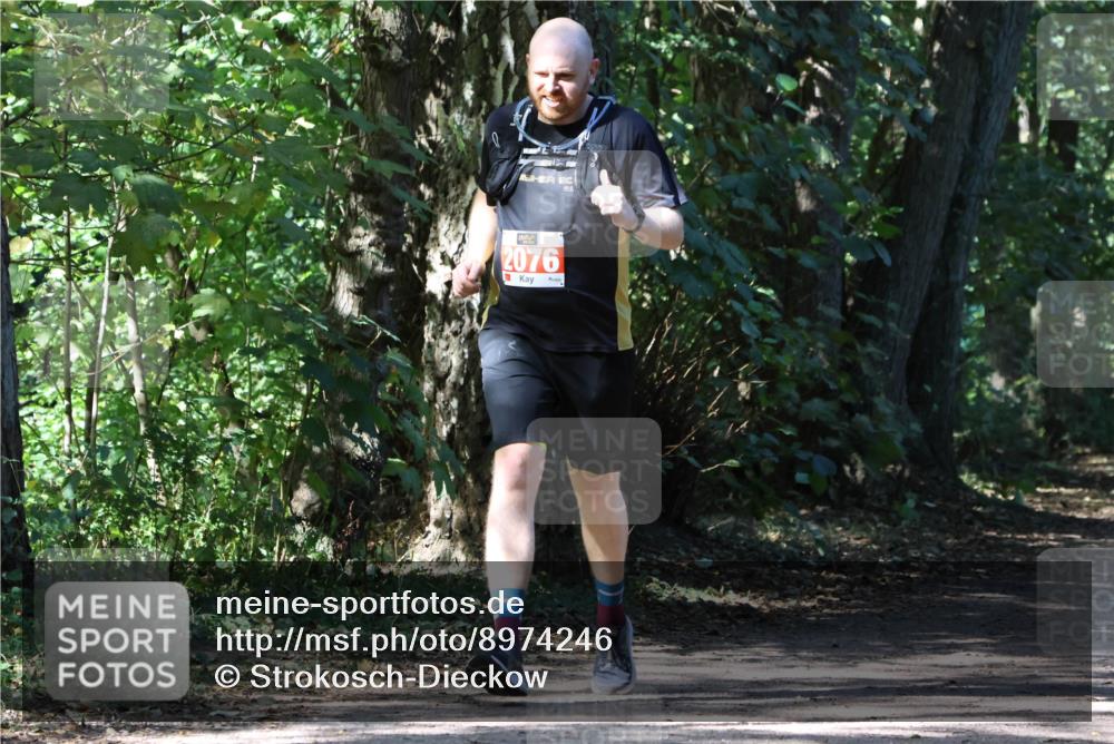 28.09.2025 - 33. Volkslauf durch das schöne Alstertal Strokosch-Dieckow http://msf.ph/oto/8974246 28.09.2025 12:38:46 Laufen 2076 meine-sportfotos.de