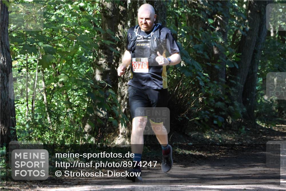 28.09.2025 - 33. Volkslauf durch das schöne Alstertal Strokosch-Dieckow http://msf.ph/oto/8974247 28.09.2025 12:38:46 Laufen 2076 meine-sportfotos.de