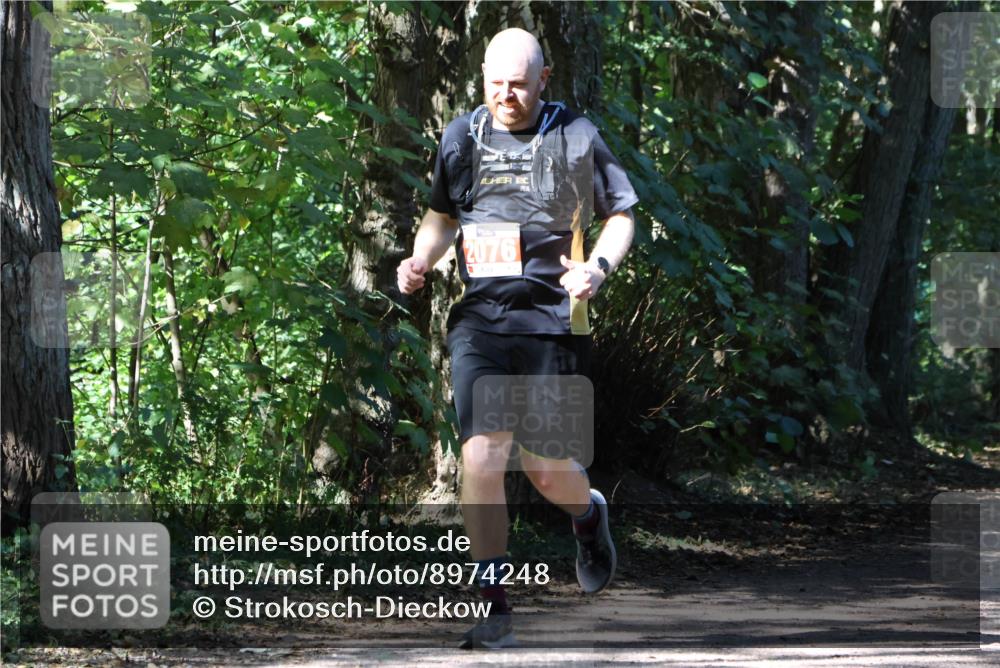28.09.2025 - 33. Volkslauf durch das schöne Alstertal Strokosch-Dieckow http://msf.ph/oto/8974248 28.09.2025 12:38:46 Laufen 2076 meine-sportfotos.de