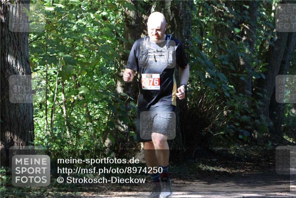 28.09.2025 - 33. Volkslauf durch das schöne Alstertal Strokosch-Dieckow http://msf.ph/oto/8974250 28.09.2025 12:38:46 Laufen 2076 meine-sportfotos.de