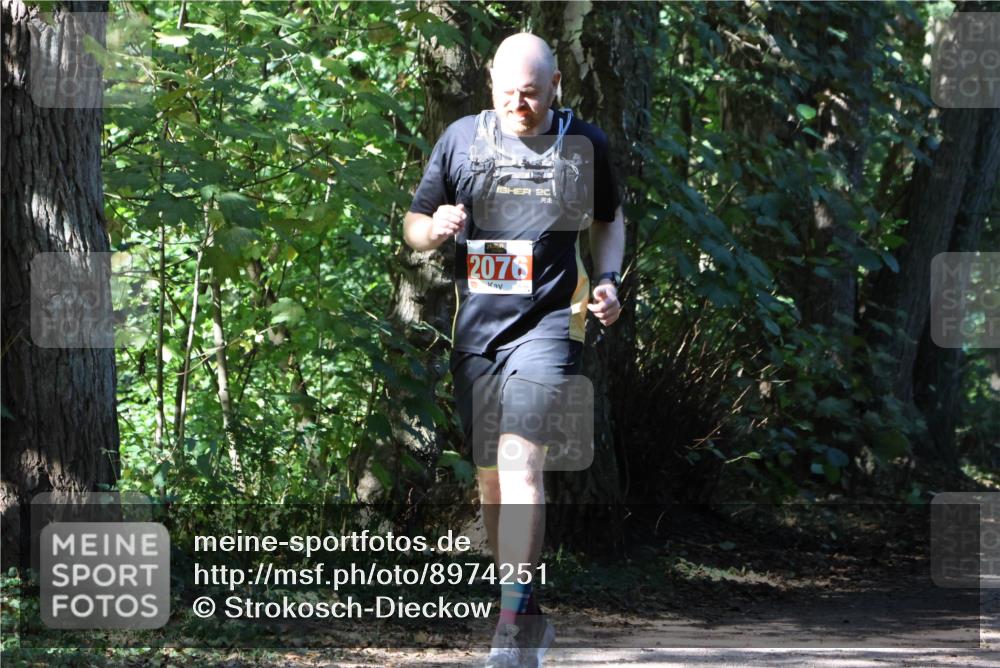 28.09.2025 - 33. Volkslauf durch das schöne Alstertal Strokosch-Dieckow http://msf.ph/oto/8974251 28.09.2025 12:38:46 Laufen 20, 2076 meine-sportfotos.de