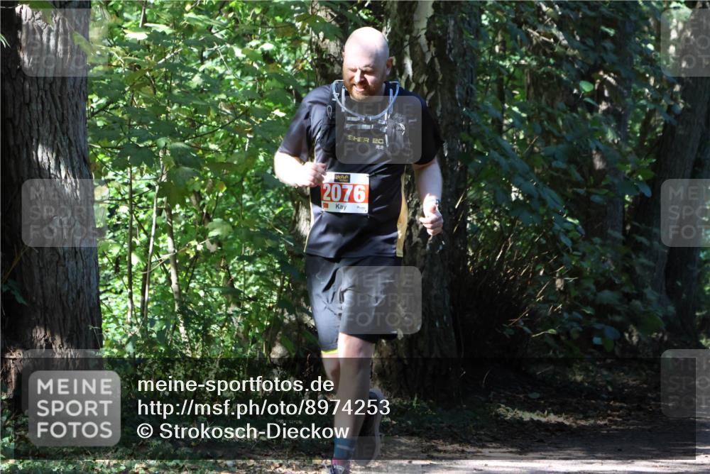 28.09.2025 - 33. Volkslauf durch das schöne Alstertal Strokosch-Dieckow http://msf.ph/oto/8974253 28.09.2025 12:38:46 Laufen 20, 2076 meine-sportfotos.de