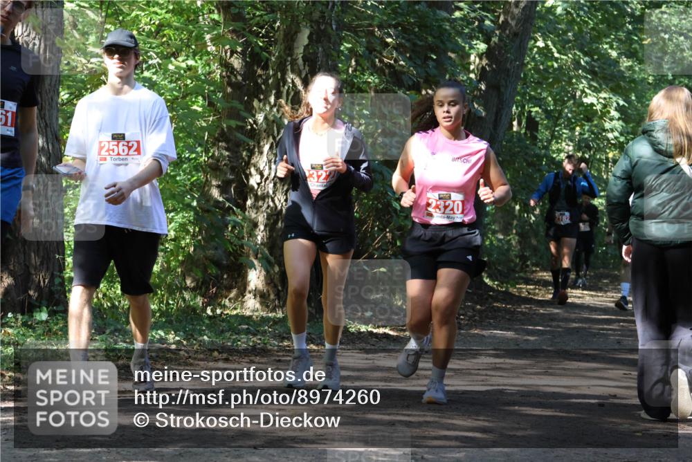 28.09.2025 - 33. Volkslauf durch das schöne Alstertal Strokosch-Dieckow http://msf.ph/oto/8974260 28.09.2025 12:39:45 Laufen 51, 2562, 322, 2320 meine-sportfotos.de