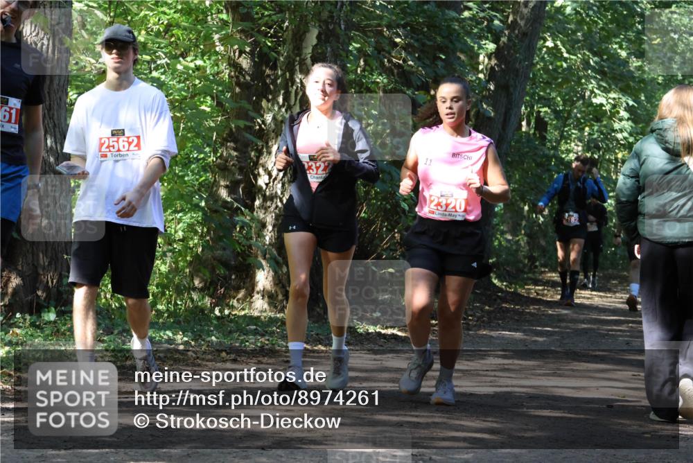 28.09.2025 - 33. Volkslauf durch das schöne Alstertal Strokosch-Dieckow http://msf.ph/oto/8974261 28.09.2025 12:39:45 Laufen 61, 2562, 2322, 11, 2320 meine-sportfotos.de