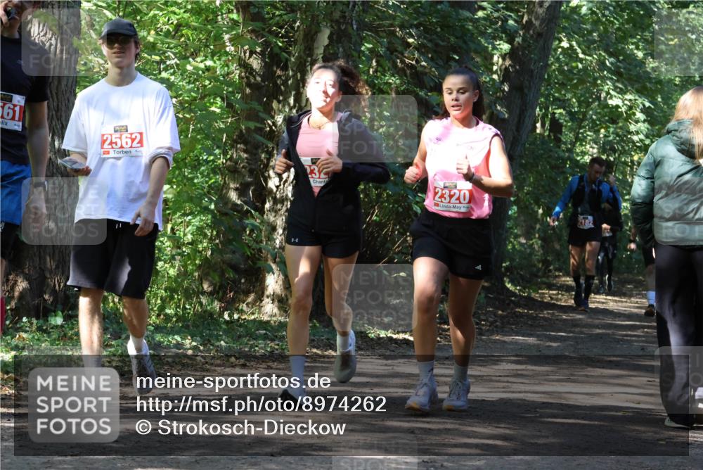 28.09.2025 - 33. Volkslauf durch das schöne Alstertal Strokosch-Dieckow http://msf.ph/oto/8974262 28.09.2025 12:39:45 Laufen 561, 2562, 23, 2320, 2182 meine-sportfotos.de