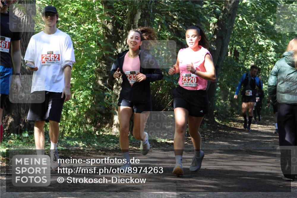 28.09.2025 - 33. Volkslauf durch das schöne Alstertal Strokosch-Dieckow http://msf.ph/oto/8974263 28.09.2025 12:39:45 Laufen 661, 2562, 232, 2320 meine-sportfotos.de