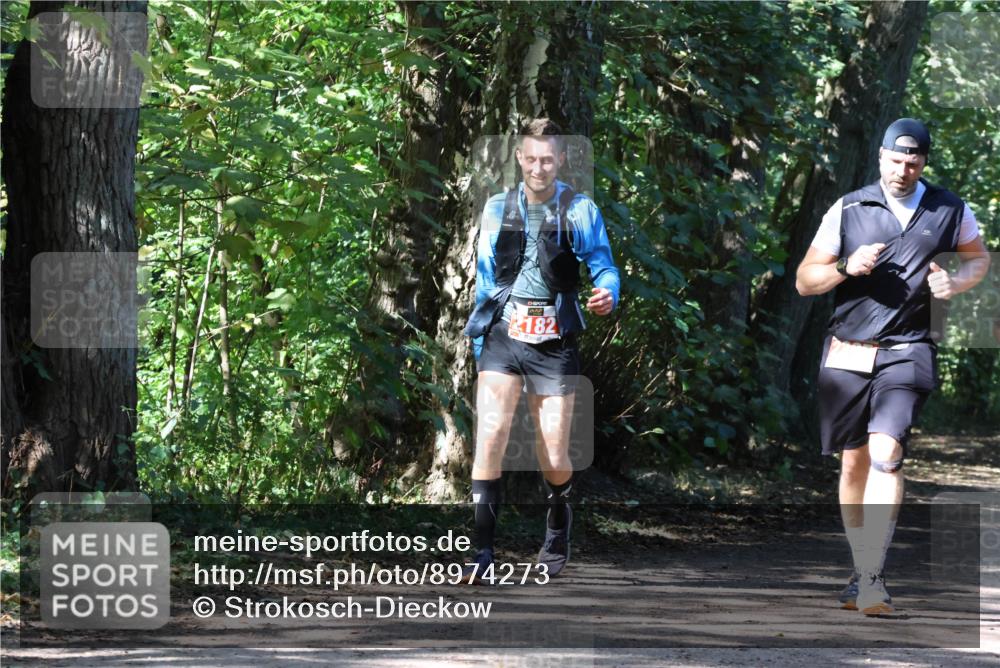 28.09.2025 - 33. Volkslauf durch das schöne Alstertal Strokosch-Dieckow http://msf.ph/oto/8974273 28.09.2025 12:39:53 Laufen 182 meine-sportfotos.de
