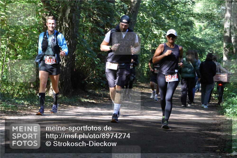 28.09.2025 - 33. Volkslauf durch das schöne Alstertal Strokosch-Dieckow http://msf.ph/oto/8974274 28.09.2025 12:39:54 Laufen 2182, 241, 2422 meine-sportfotos.de