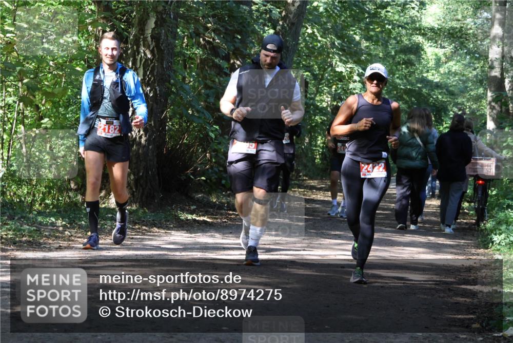 28.09.2025 - 33. Volkslauf durch das schöne Alstertal Strokosch-Dieckow http://msf.ph/oto/8974275 28.09.2025 12:39:54 Laufen 2182, 2422 meine-sportfotos.de