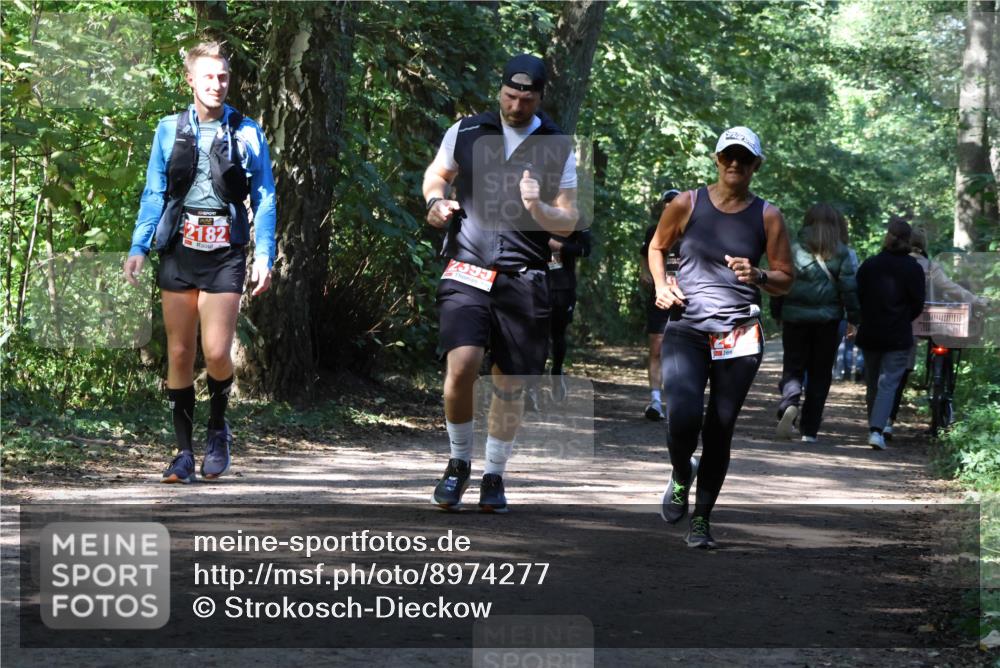 28.09.2025 - 33. Volkslauf durch das schöne Alstertal Strokosch-Dieckow http://msf.ph/oto/8974277 28.09.2025 12:39:54 Laufen 2182, 2595 meine-sportfotos.de