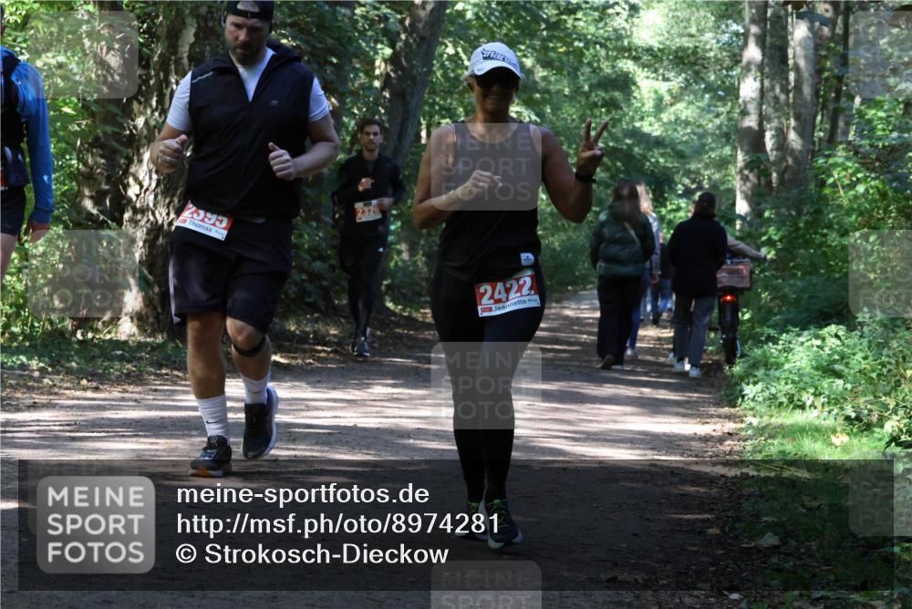28.09.2025 - 33. Volkslauf durch das schöne Alstertal Strokosch-Dieckow http://msf.ph/oto/8974281 28.09.2025 12:39:55 Laufen 2595, 2326, 2422 meine-sportfotos.de
