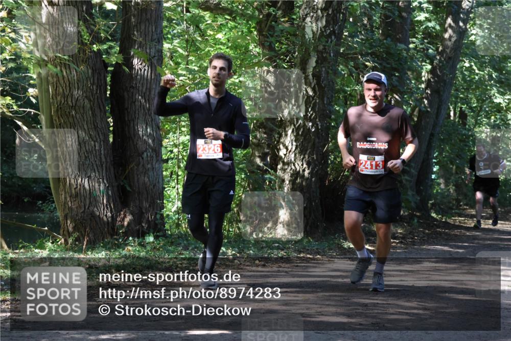28.09.2025 - 33. Volkslauf durch das schöne Alstertal Strokosch-Dieckow http://msf.ph/oto/8974283 28.09.2025 12:39:58 Laufen 2326, 2413 meine-sportfotos.de