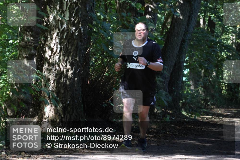28.09.2025 - 33. Volkslauf durch das schöne Alstertal Strokosch-Dieckow http://msf.ph/oto/8974289 28.09.2025 12:40:03 Laufen  meine-sportfotos.de