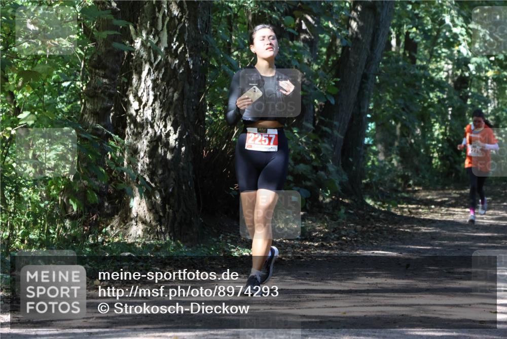 28.09.2025 - 33. Volkslauf durch das schöne Alstertal Strokosch-Dieckow http://msf.ph/oto/8974293 28.09.2025 12:40:39 Laufen 2257 meine-sportfotos.de