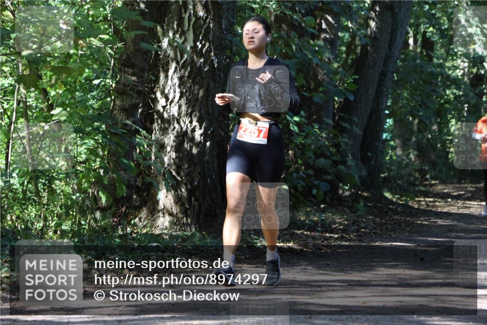 28.09.2025 - 33. Volkslauf durch das schöne Alstertal Strokosch-Dieckow http://msf.ph/oto/8974297 28.09.2025 12:40:40 Laufen 2257 meine-sportfotos.de