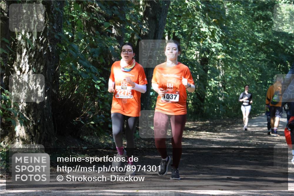 28.09.2025 - 33. Volkslauf durch das schöne Alstertal Strokosch-Dieckow http://msf.ph/oto/8974301 28.09.2025 12:40:46 Laufen 2275, 1037 meine-sportfotos.de