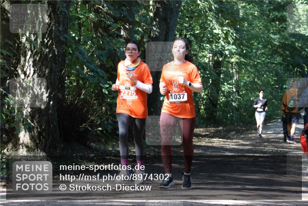 28.09.2025 - 33. Volkslauf durch das schöne Alstertal Strokosch-Dieckow http://msf.ph/oto/8974302 28.09.2025 12:40:46 Laufen 2275, 1037 meine-sportfotos.de