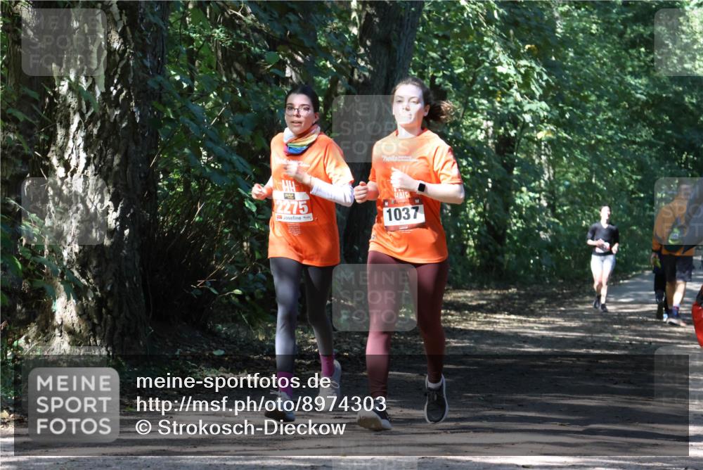 28.09.2025 - 33. Volkslauf durch das schöne Alstertal Strokosch-Dieckow http://msf.ph/oto/8974303 28.09.2025 12:40:46 Laufen 2275, 1037 meine-sportfotos.de