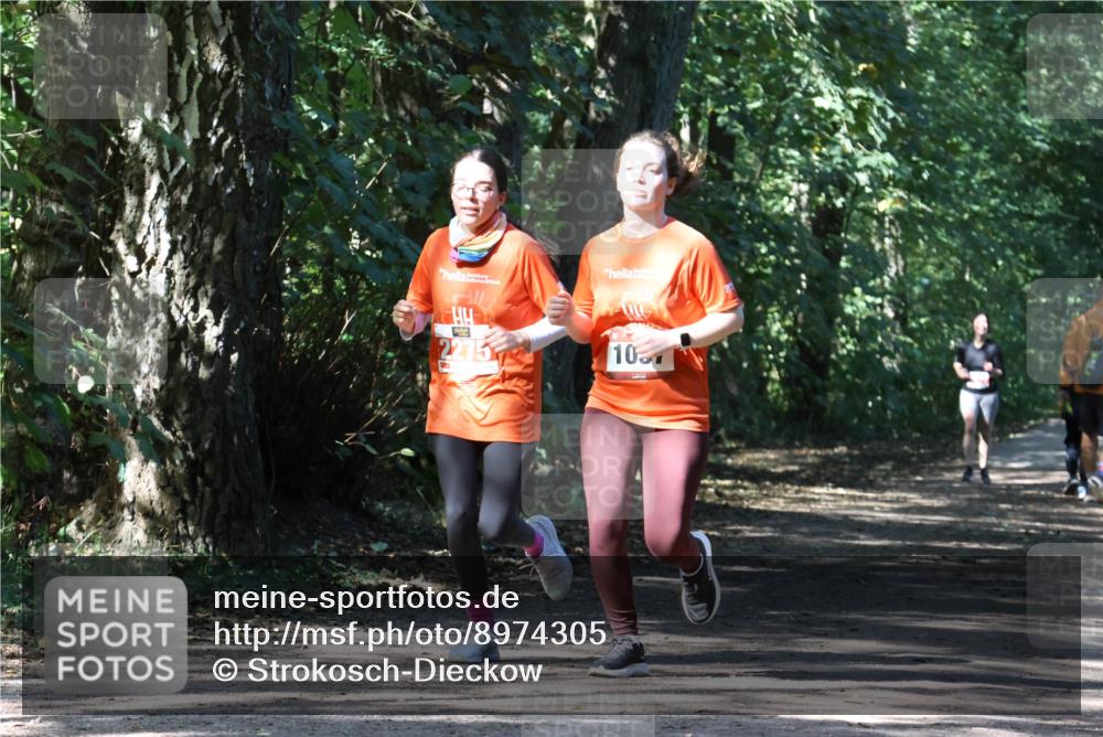 28.09.2025 - 33. Volkslauf durch das schöne Alstertal Strokosch-Dieckow http://msf.ph/oto/8974305 28.09.2025 12:40:46 Laufen 2275, 107 meine-sportfotos.de